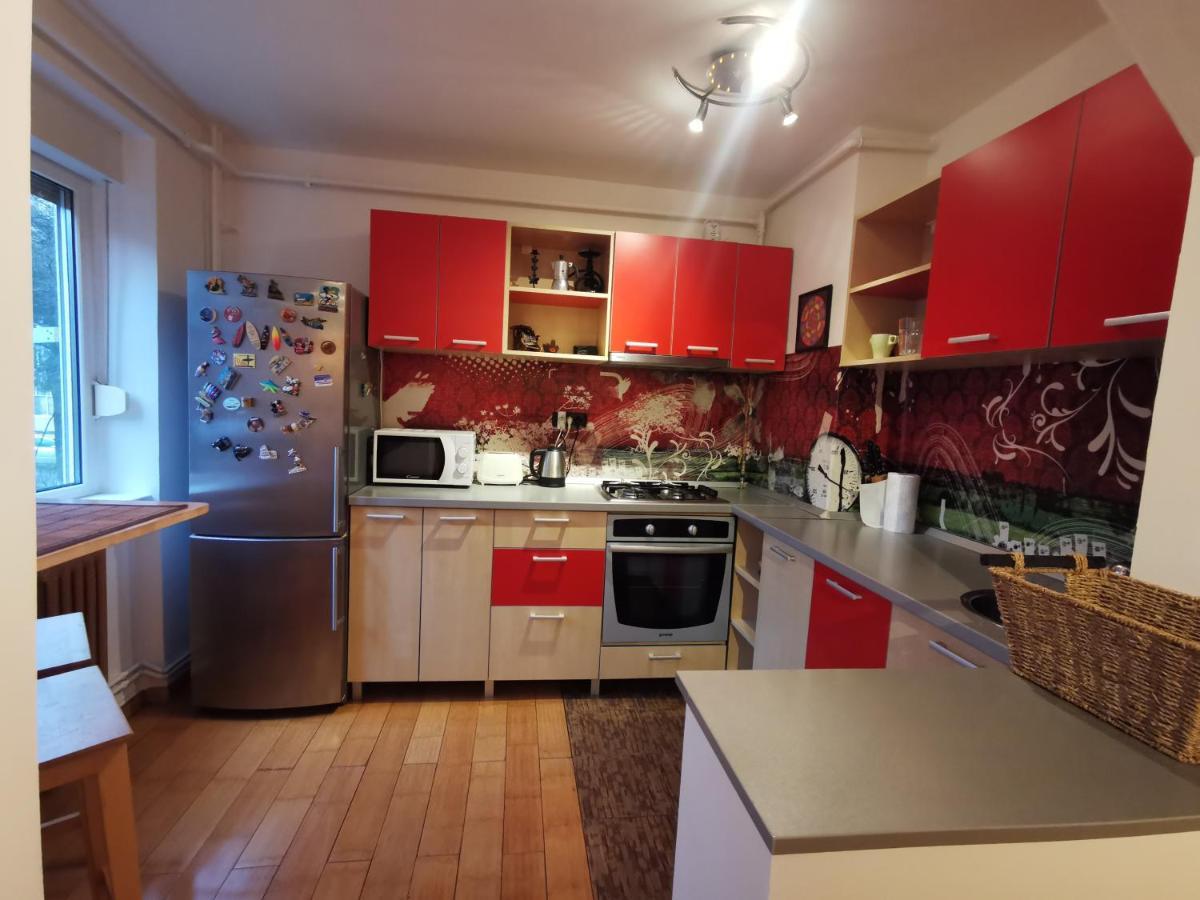 Comfy & Pleasant Apartment 10 Min Walk To Downtown Timisoara Exterior photo